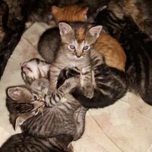 Meet your Posher, Earlene